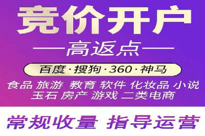 网络推广与竞价优化成功案例